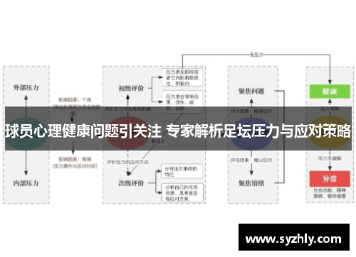 球员心理健康问题引关注 专家解析足坛压力与应对策略